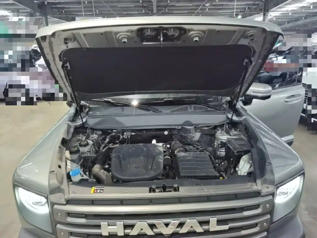 Haval Raptors New Energy 2024 — фото 20
