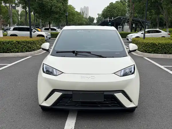 BYD Seagull 2024