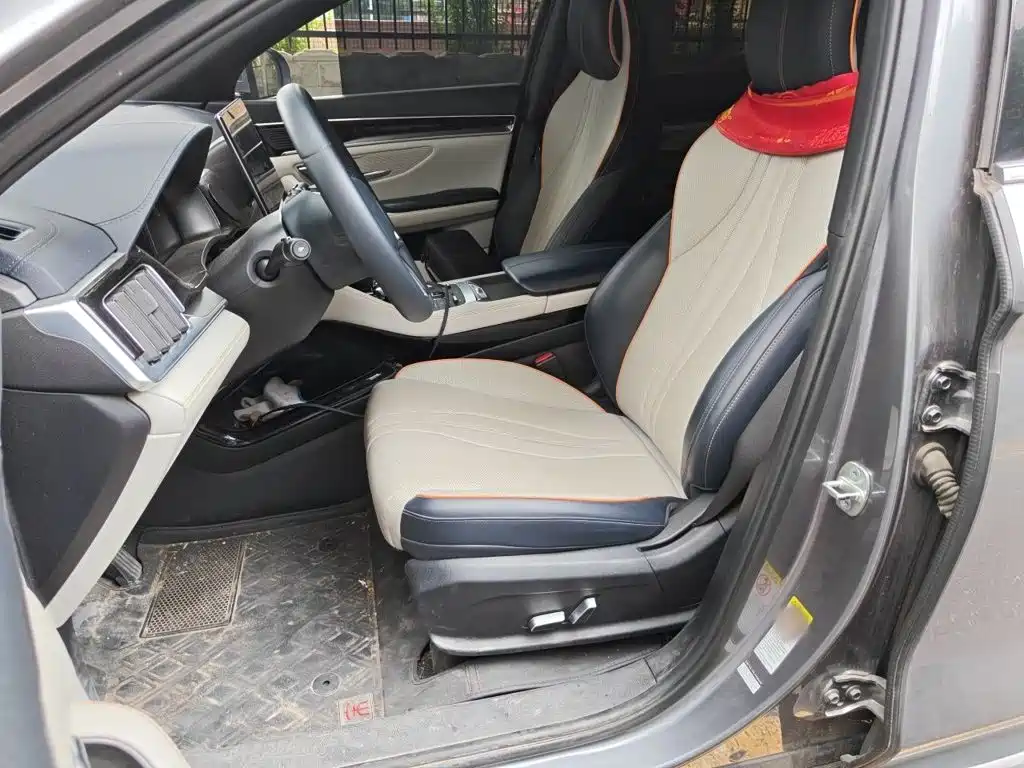 BYD Song PLUS New Energy 2021 — фото 16