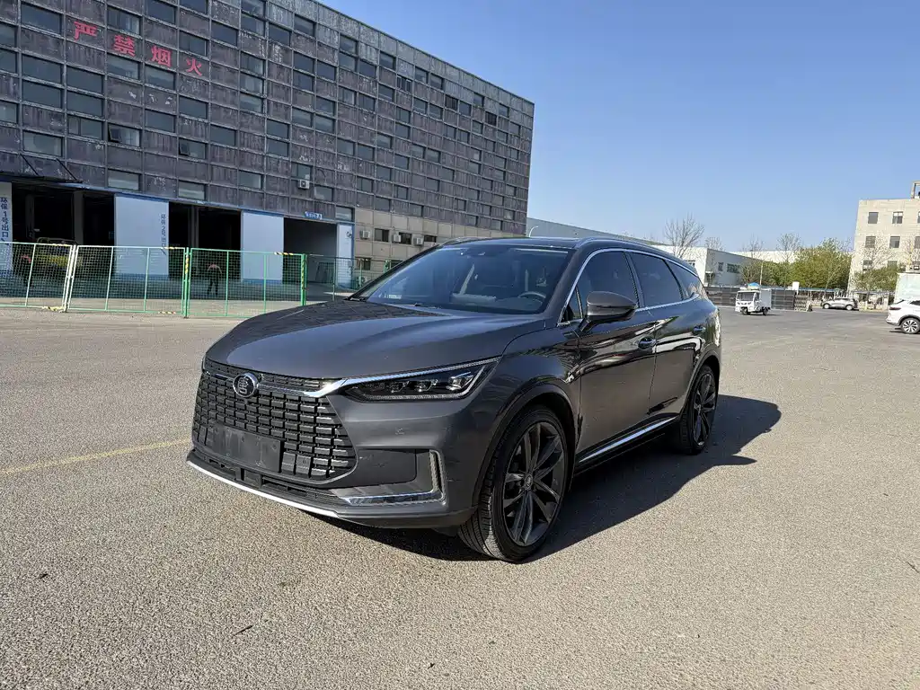 BYD Tang New Energy 2019 — фото 1