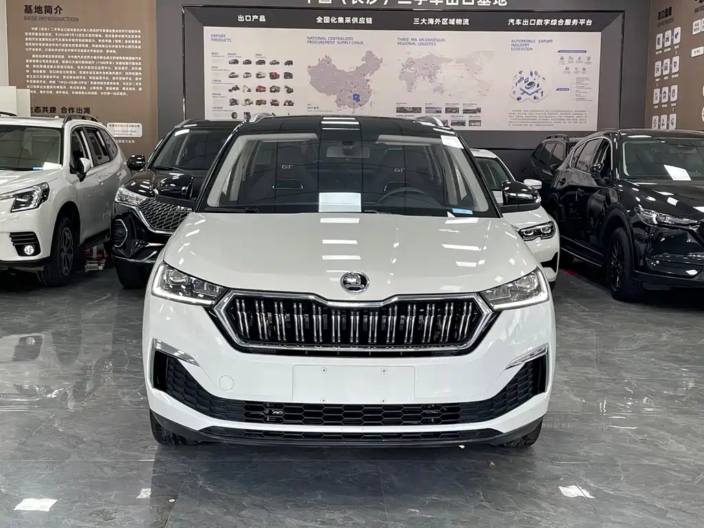 Skoda Kamiq 2022