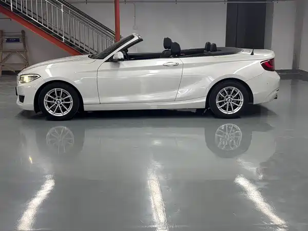BMW 2 Series 2017