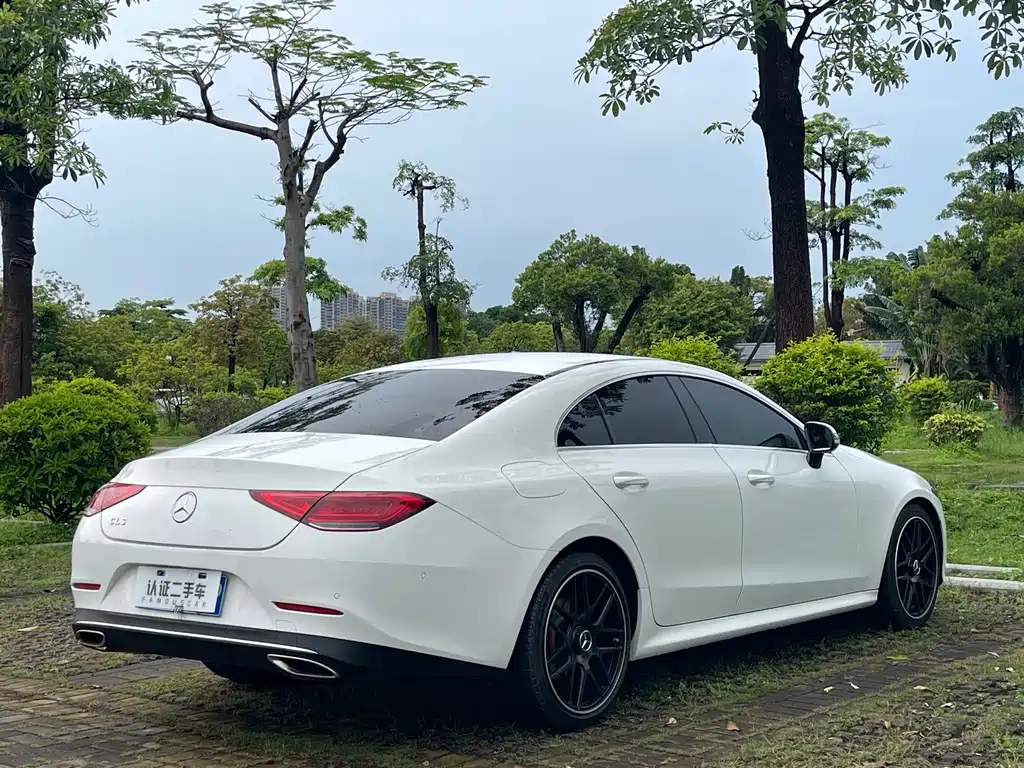 Mercedes-Benz CLS 2018 — фото 19