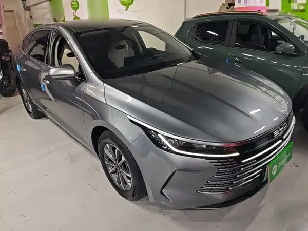 BYD Destroyer 05 2024