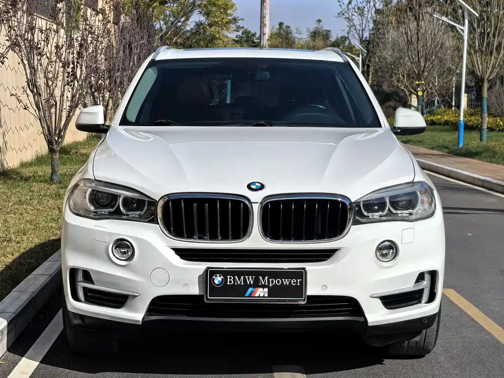 BMW X5 2014 — фото 2