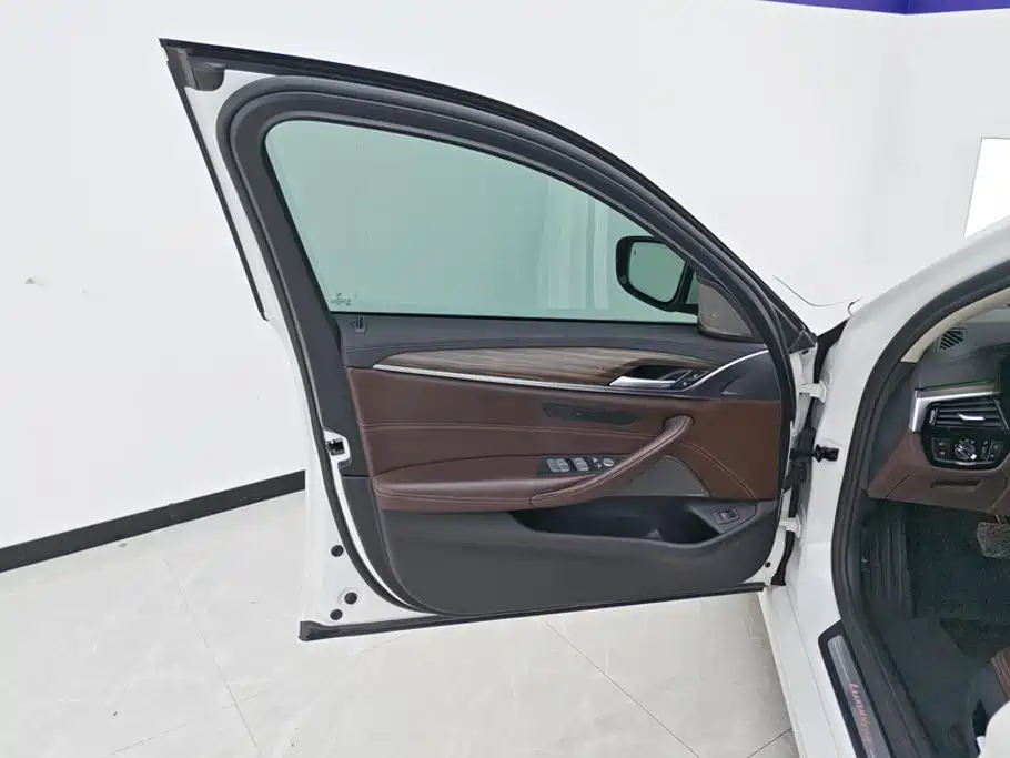 BMW 5 Series 2019