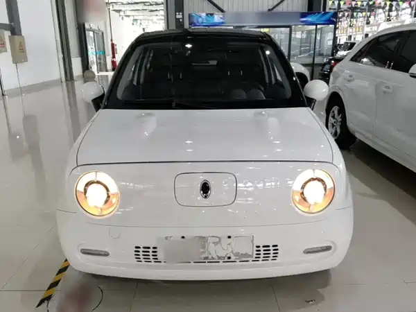 Ora Black Cat 2021
