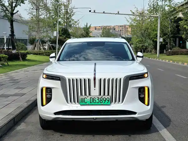 Hongqi E-HS9 2022
