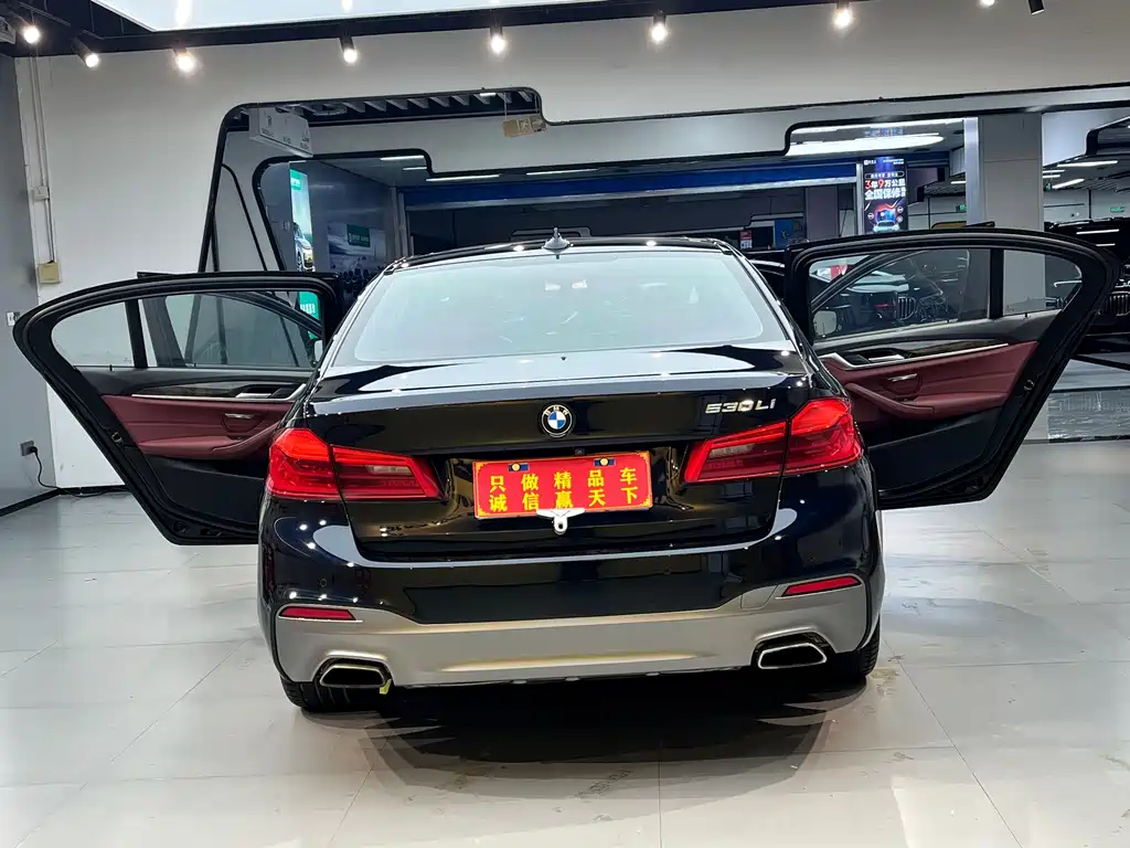 BMW 5 Series 2019 — фото 10