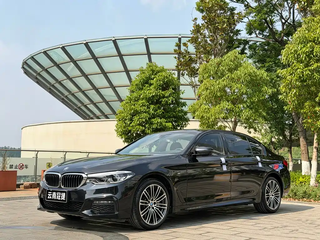 BMW 5 Series 2019 — фото 1
