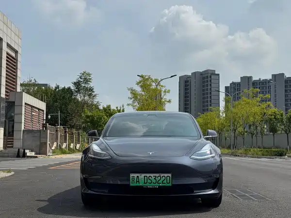 Tesla Model 3 2019