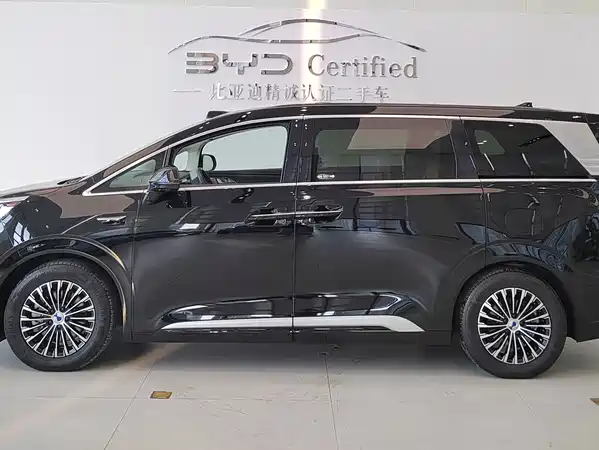 Denza D9 2025