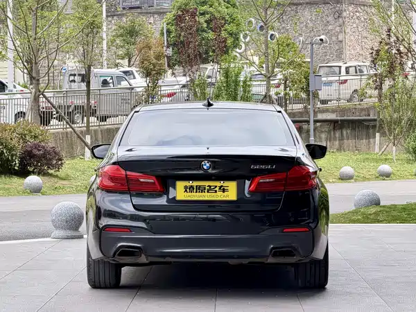 BMW 5 Series 2019