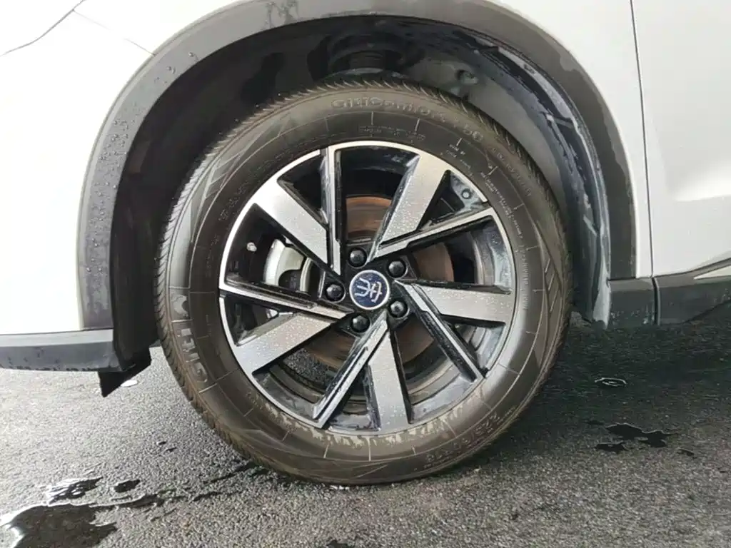 BYD Song Pro New Energy 2025 — фото 23