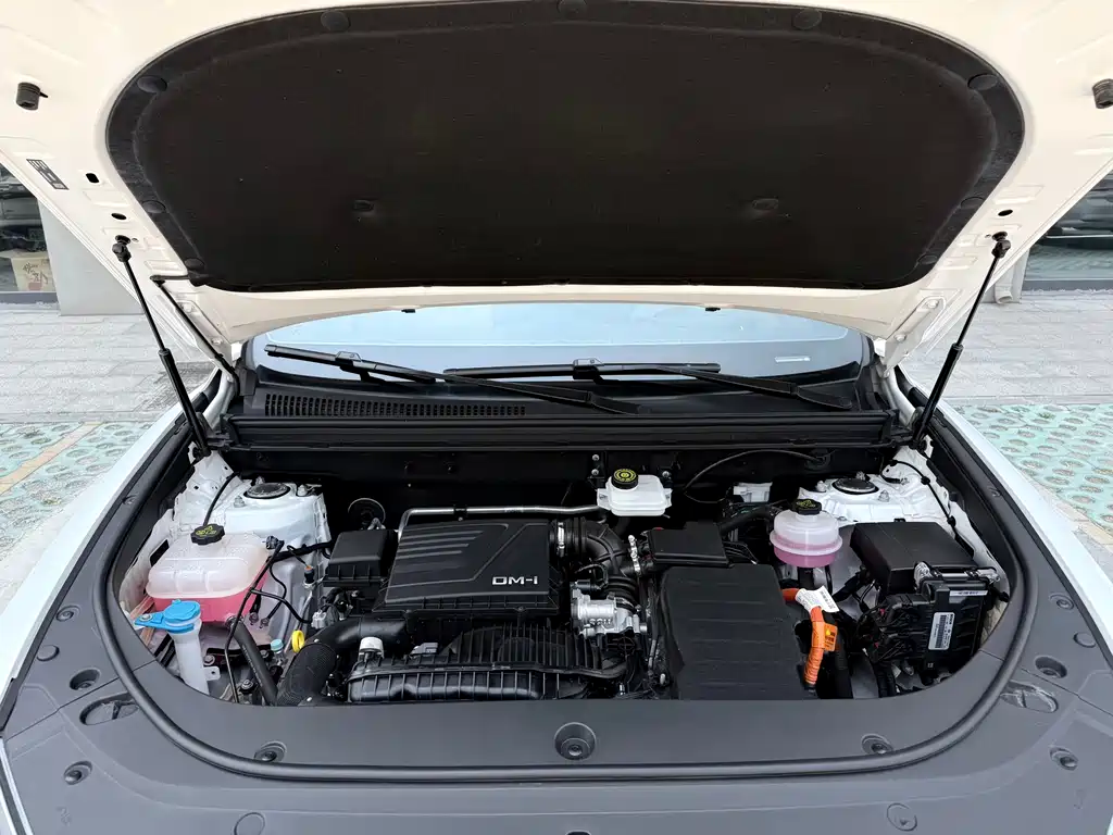 BYD Pro New Energy 2024 — фото 29