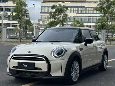 MINI MINI 2021