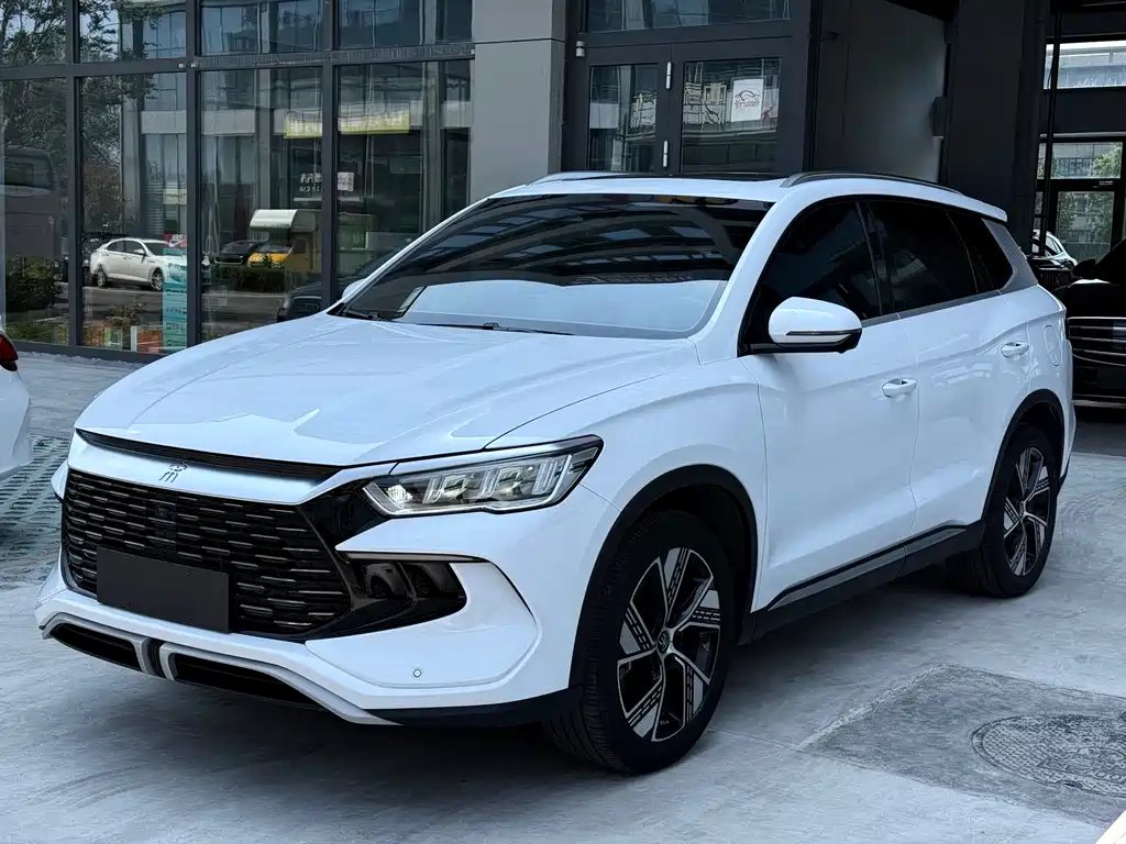 BYD Pro New Energy 2024 — фото 2