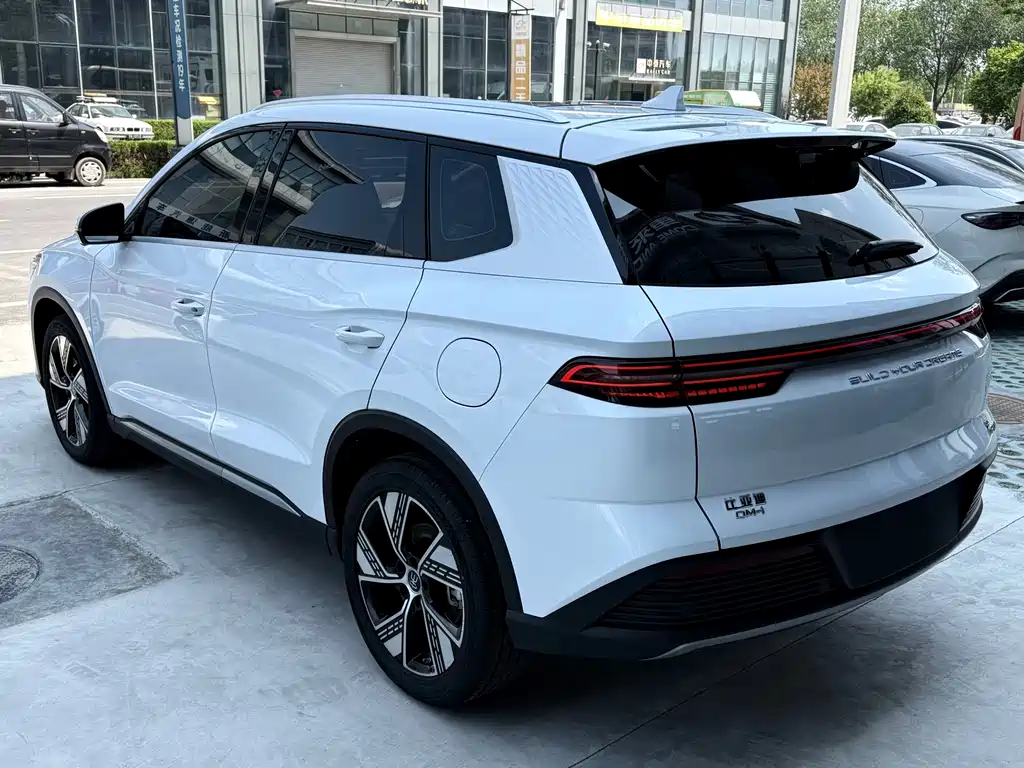BYD Pro New Energy 2024 — фото 6