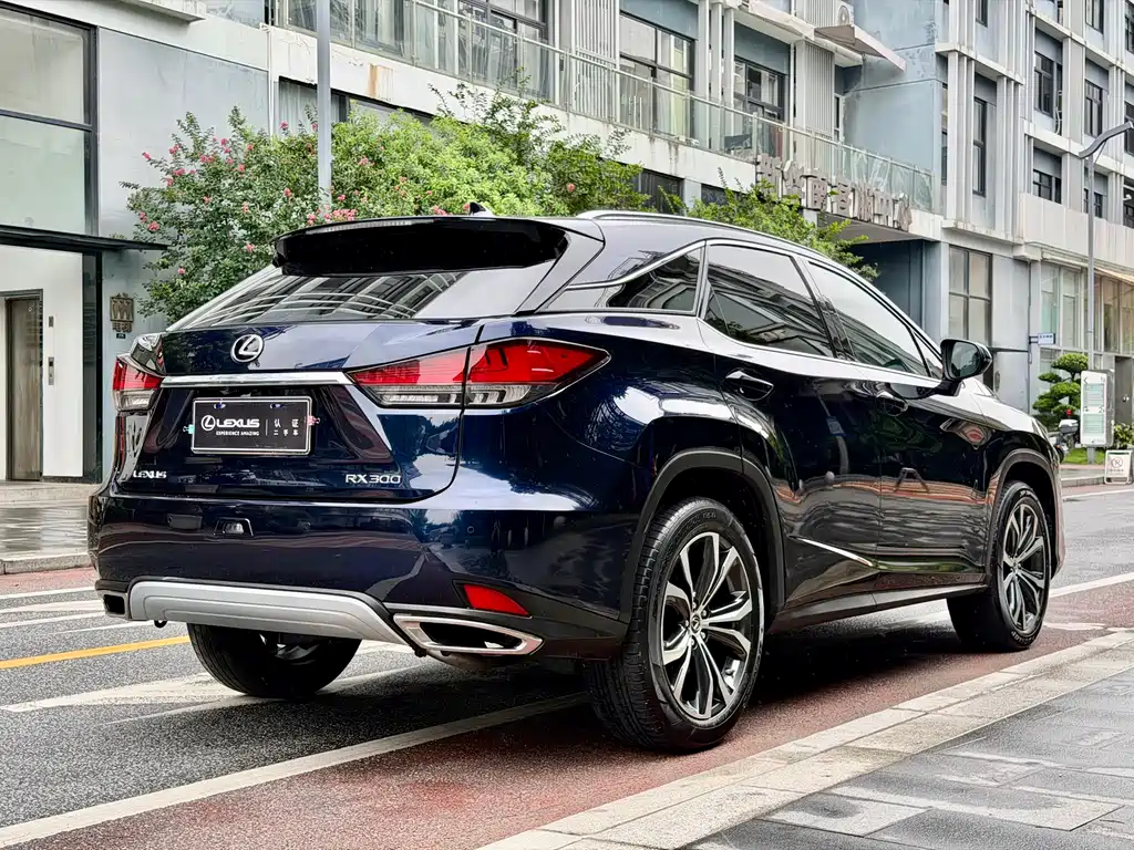 Lexus RX 2022 — фото 21