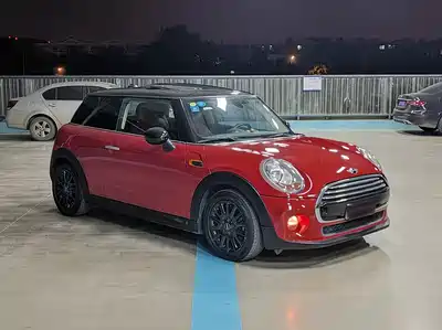 MINI MINI 2014