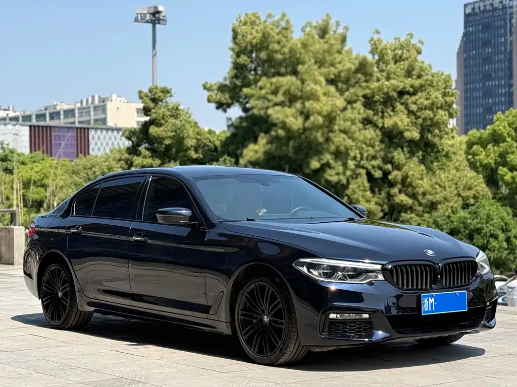 BMW 5 Series 2018 — фото 3