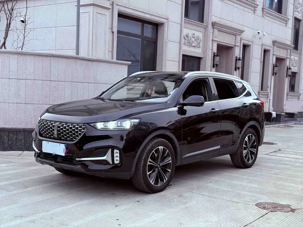 Wey VV6 2020