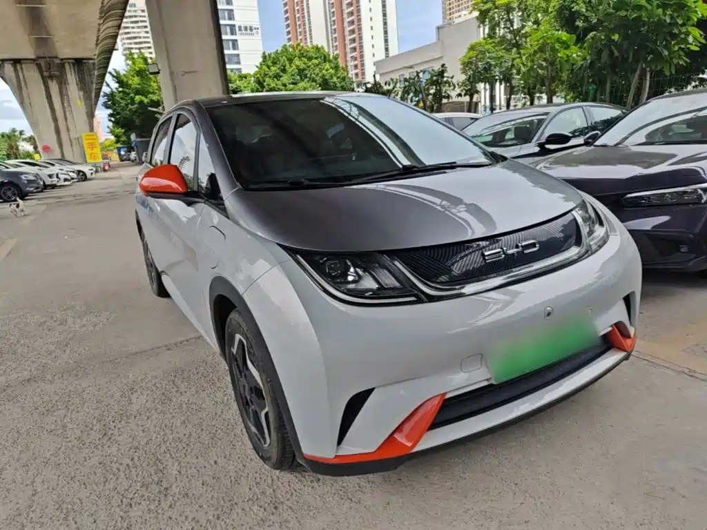 BYD Dolphin 2021