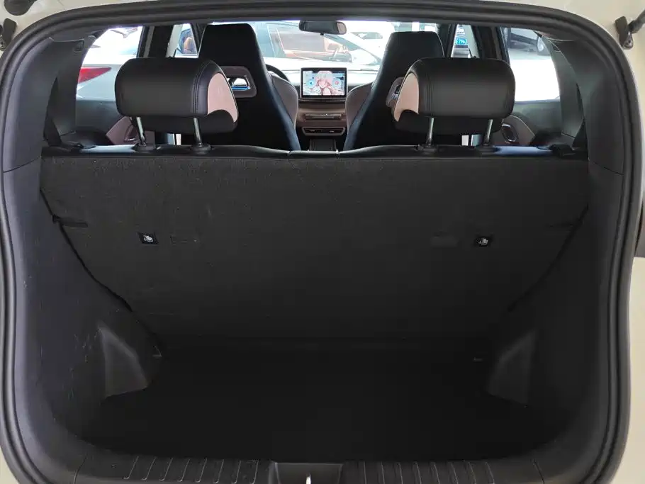 BYD Seagull 2024