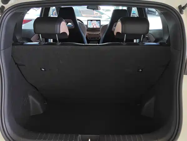 BYD Seagull 2024