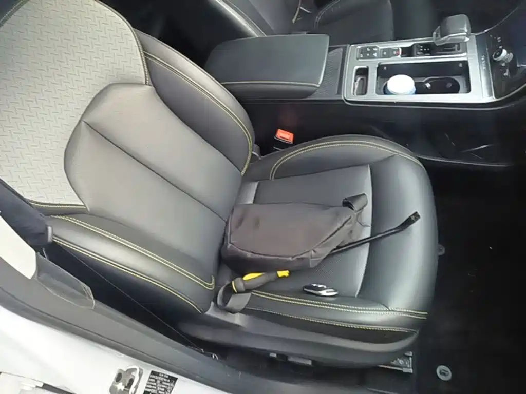 Roewe RX5 New Energy 2021 — фото 25