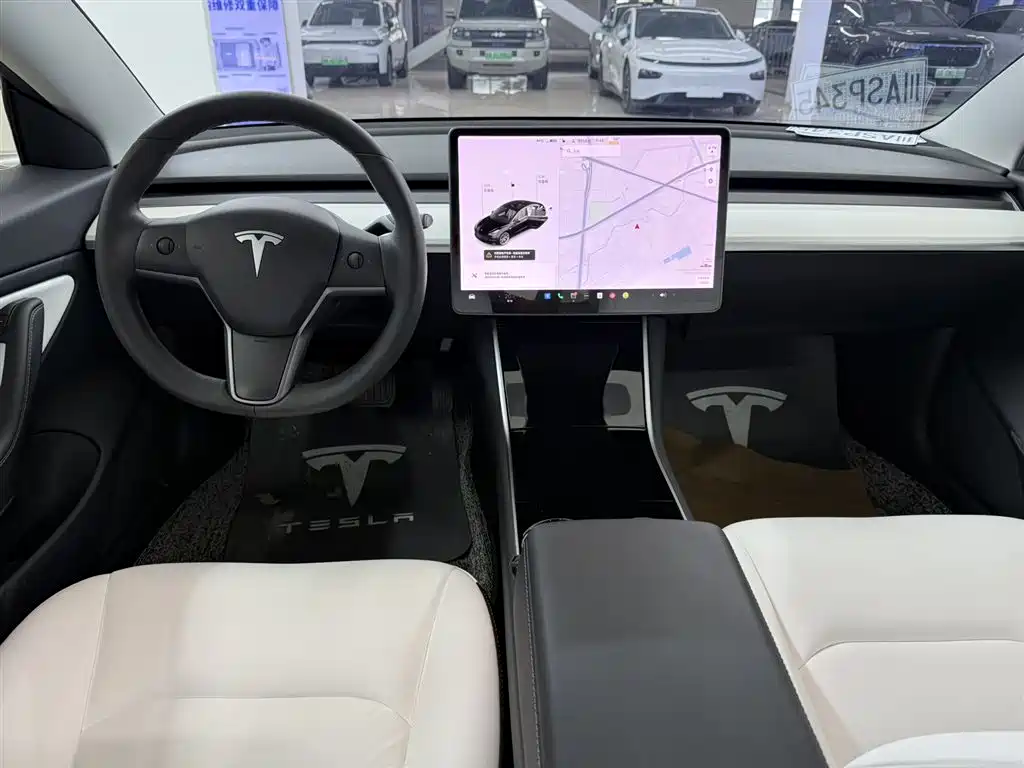Tesla Model 3 2020 — фото 10