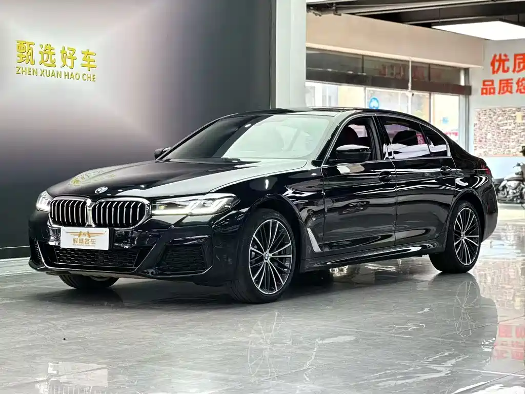 BMW 5 Series 2021