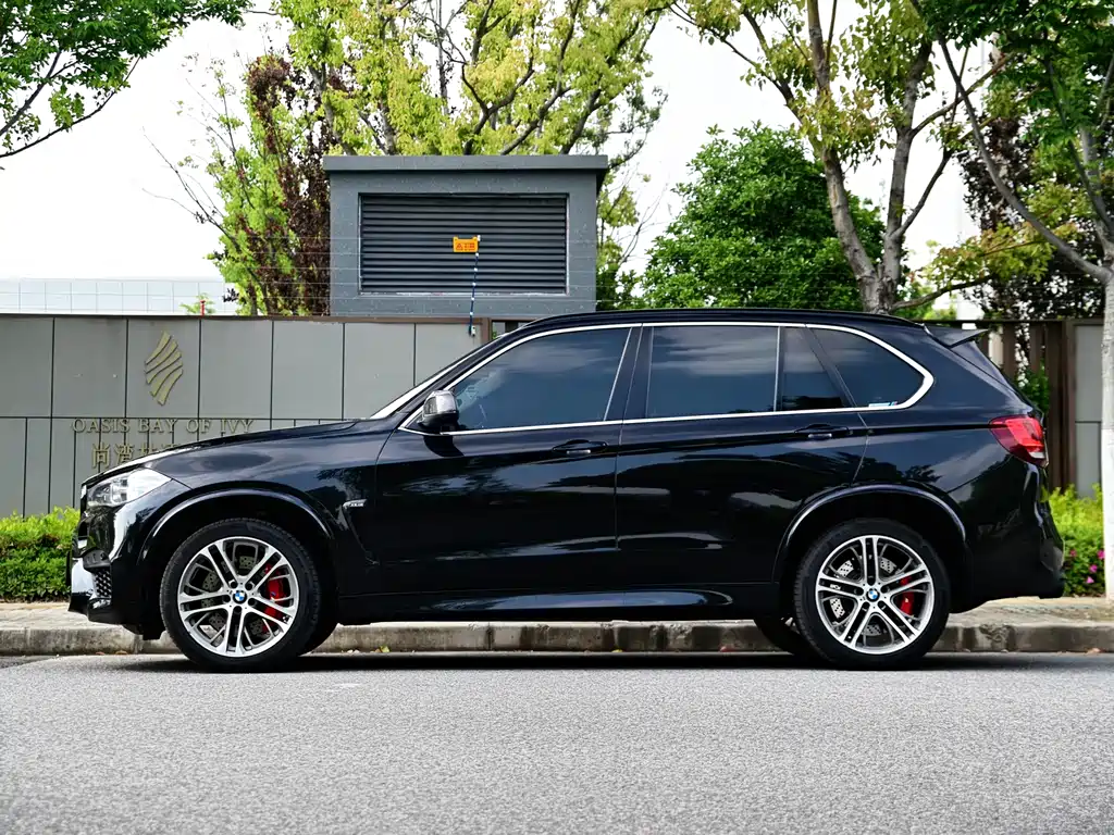 BMW X5 2016 — фото 8