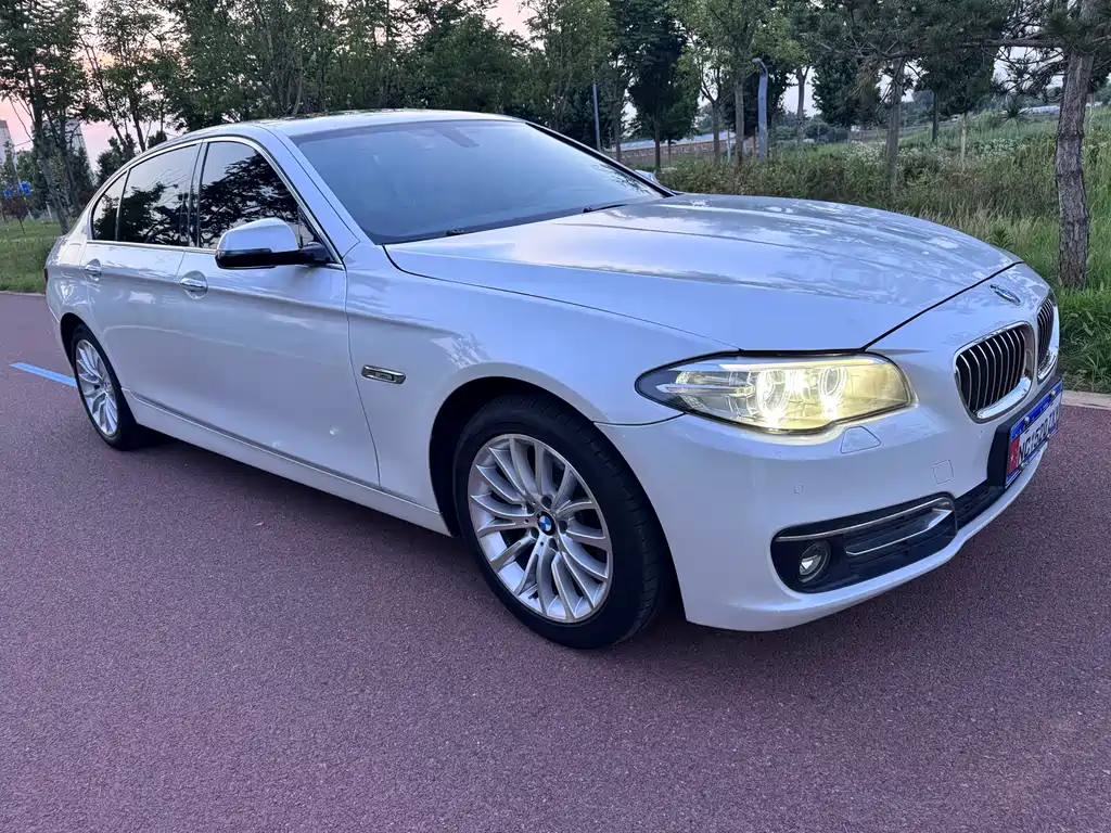 BMW 5 Series 2016 — фото 14