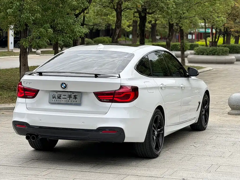 BMW 3 Series GT 2019 — фото 12
