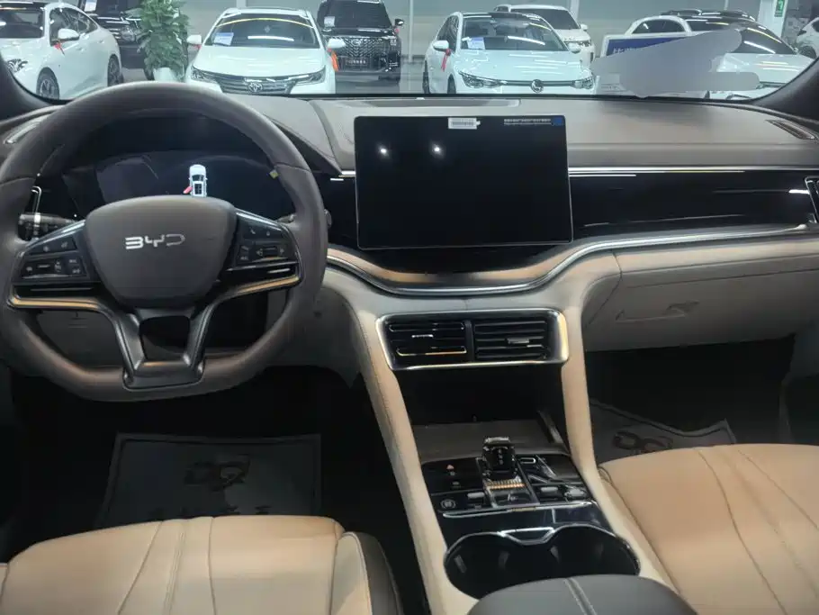 BYD Song PLUS New Energy 2025 — фото 12