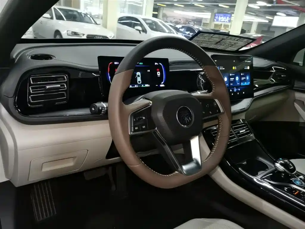 BYD Qin PLUS 2024 — фото 10