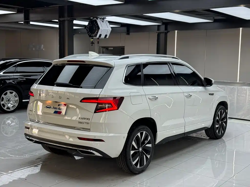 Skoda Karoq 2023 — фото 6
