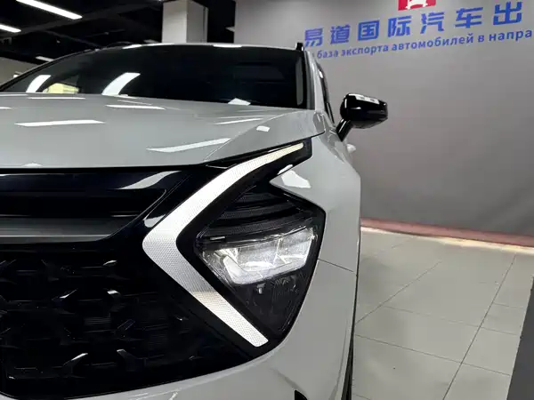 Kia Lion Platinum Expands The Boundary 2023