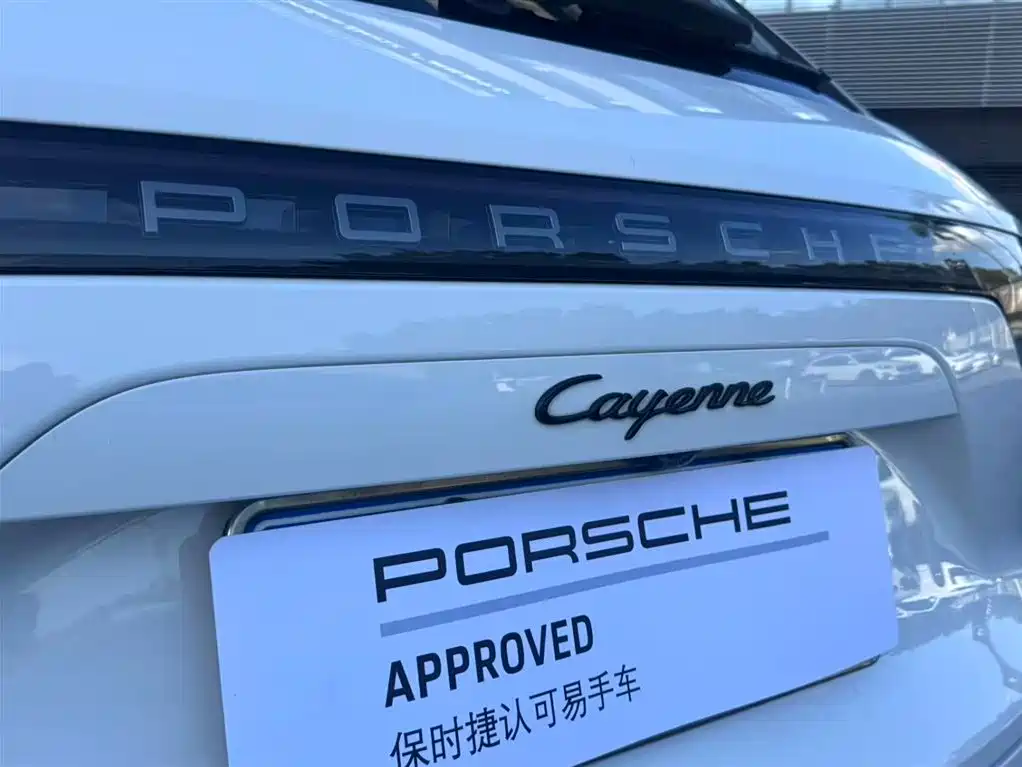 Porsche Cayenne 2022 — фото 10