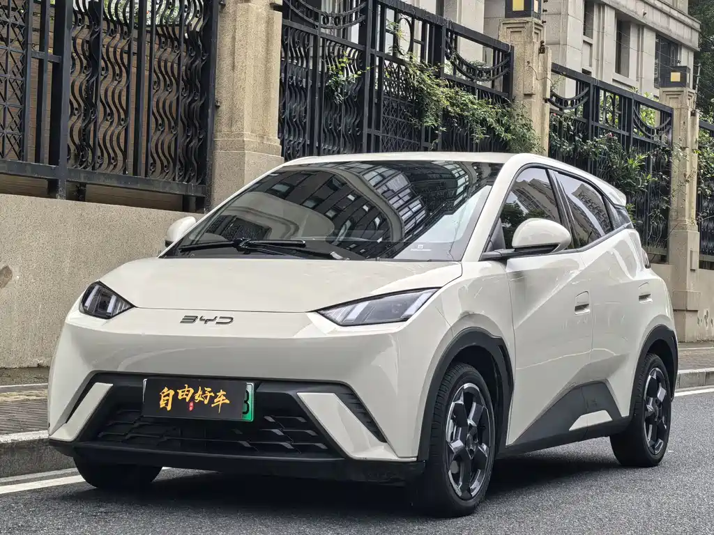 BYD Seagull 2024