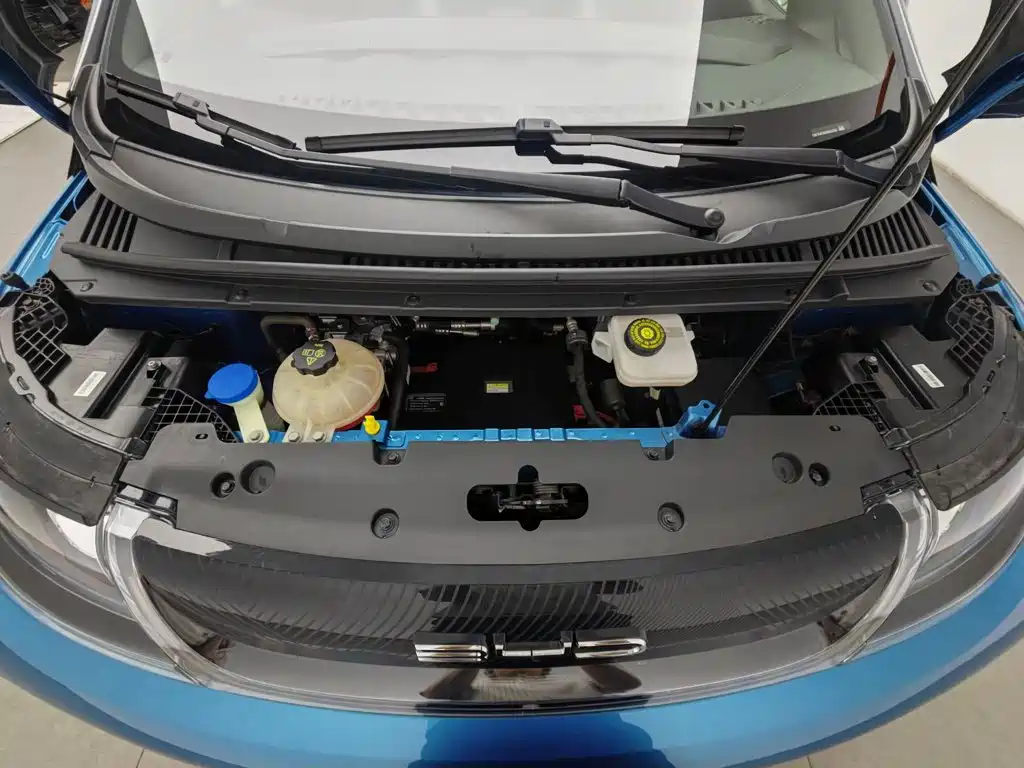 BYD Dolphin 2022