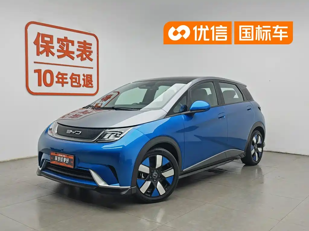 BYD Dolphin 2022