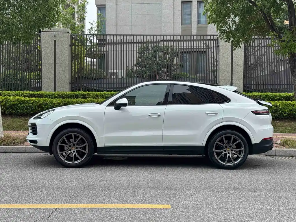 Porsche Cayenne 2022 — фото 11