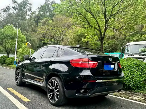 BMW X6 2009