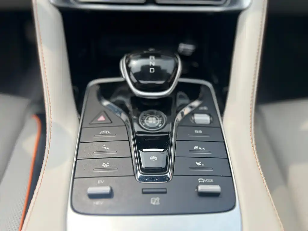 BYD PLUS New Energy 2022 — фото 13