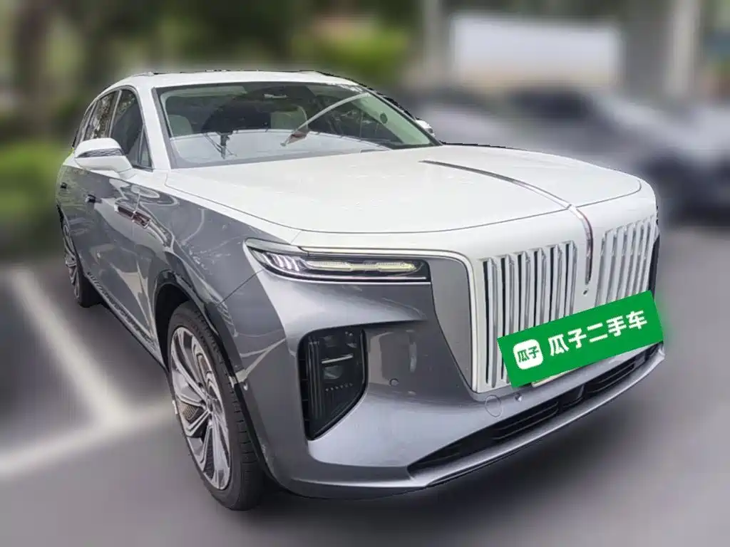 Hongqi E-HS9 2021
