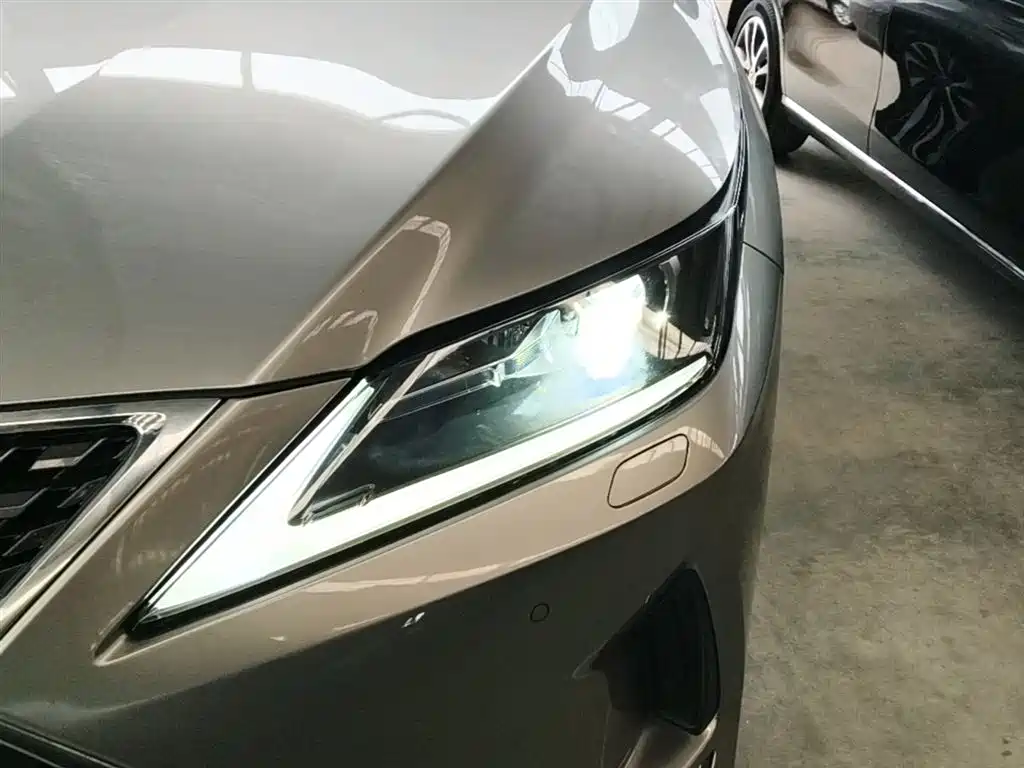 Lexus RX 2020 — фото 24