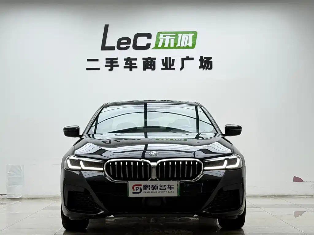 BMW 5 Series New Energy 2020 — фото 2