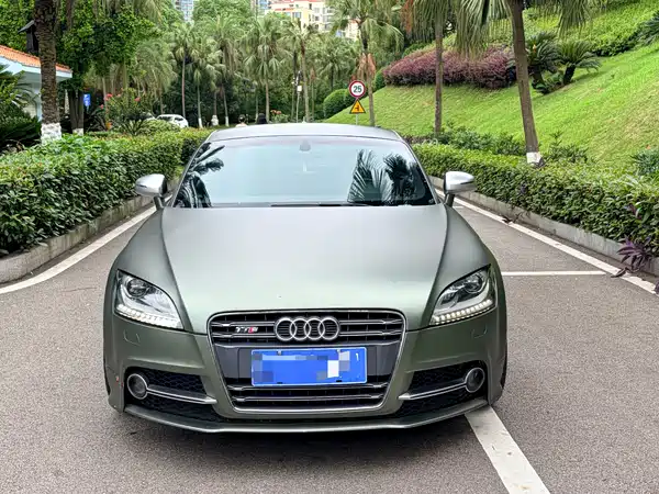 Audi TTS 2011